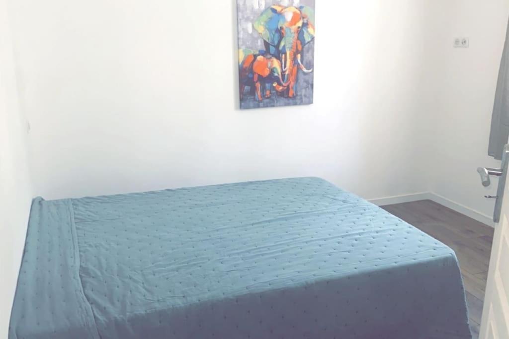 Appartement T2 Chez Thomas Et Nas Omessa Exterior foto